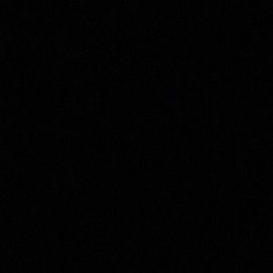 Meet your Posher, Vivi